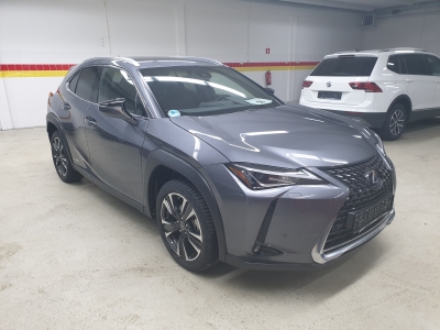 Lexus UX 250h Style