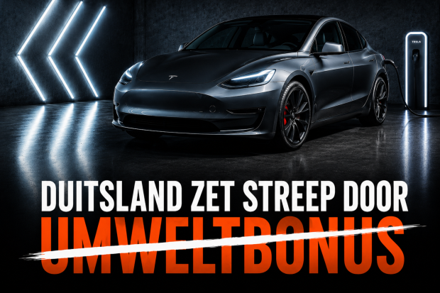 Het einde van de Umweltbonus: waarom Duitsland vol staat met jonge Audi e-trons 