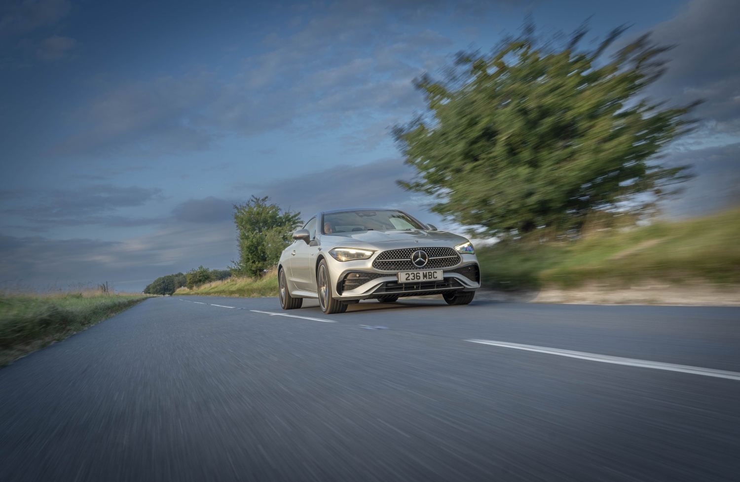 Pluspunten / nadelen